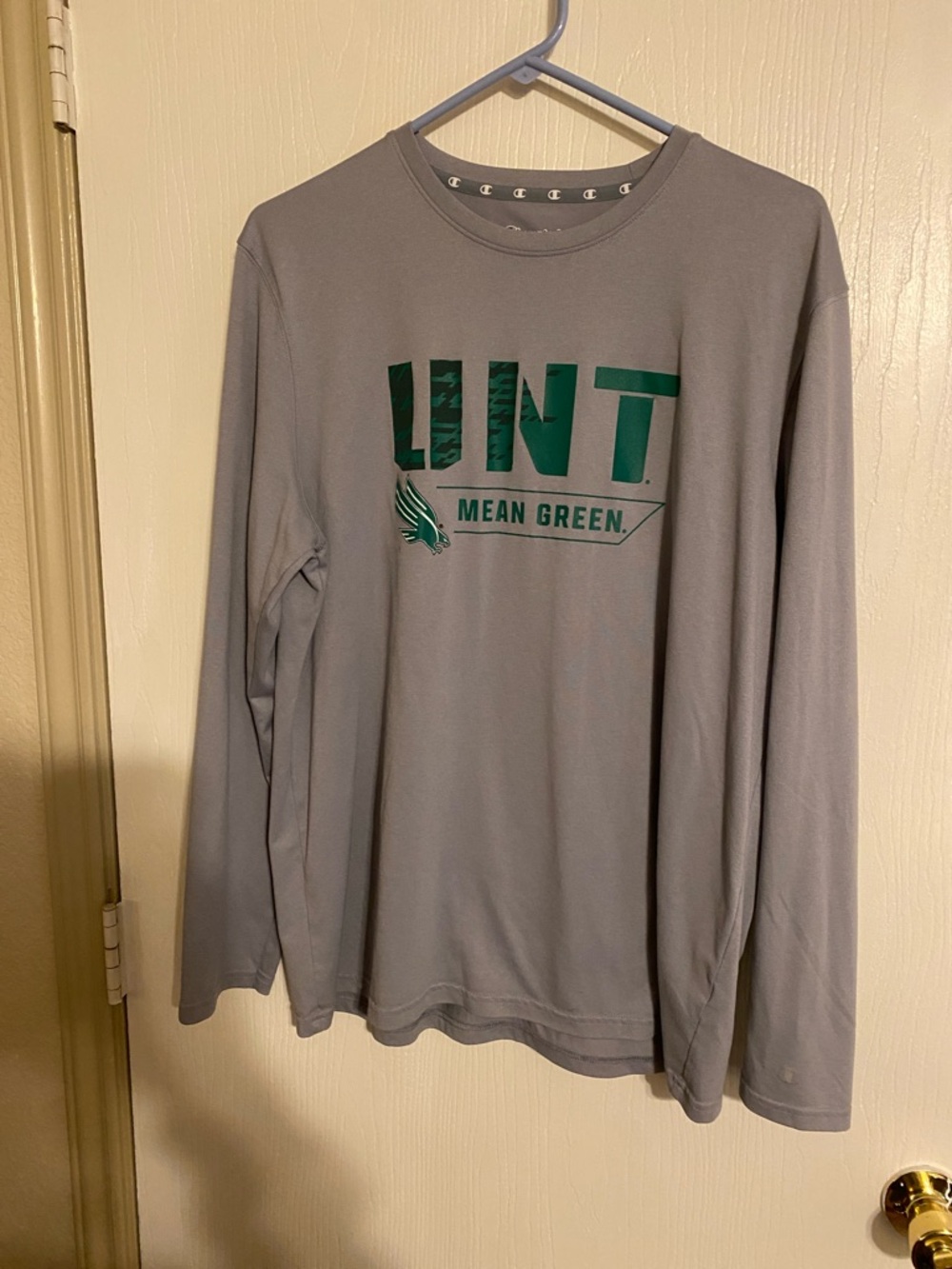 Champion Gray Long-Sleeve 'Mean Green' Graphic Tee